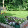 Photo 3: Garden