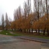 Photo 2: Located by the river