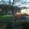 Photo 4: View from bedroom window
