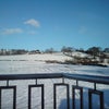 Photo 4: View from bedroom