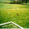 Photo 5: view from bedroom