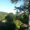Photo 3: One view