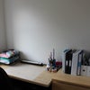 Photo 8: Study