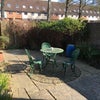 Photo 2: Garden