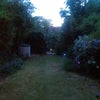 Photo 5: Garden view