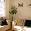 Photo 3: Clean, well presented lounge