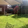 Photo 2: garden