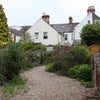 Photo 5: back garden