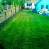 Photo 3: big garden with a cabin