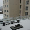 Photo 4: Jap Garden