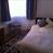 Photo 4: Single bedroom