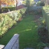 Photo 2: South Facing Garden