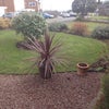 Photo 2: The front garden