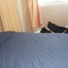 Photo 2: Bedroom