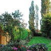 Photo 2: Back garden