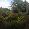 Photo 4: Garden