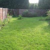 Photo 2: garden