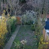 Photo 2: Garden
