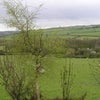 Photo 2: view from double