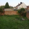 Photo 3: garden