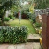 Photo 2: Garden