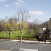 Photo 2: Park opposite