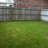 Photo 5: Beautiful Garden