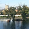 Photo 4: Chislehurst village pond by colin mundy