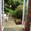 Photo 3: garden, but has now had serious haircut