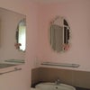 Photo 2: Ensuite shower