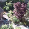 Photo 4: GARDEN