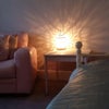 Photo 5: Room for rent
