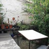 Photo 2: garden/patio
