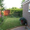 Photo 3: Back Garden