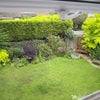 Photo 3: View from the window.