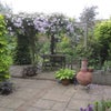 Photo 4: Patio area.