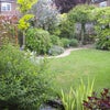 Photo 5: The garden.