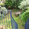 Photo 2: garden