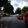Photo 2: shrubbery avenue