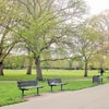 Photo 9: Ravenscourt Park, 75 metres away