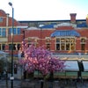 Photo 9: Olympic Cinema next door