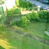 Photo 4: Lawns