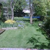 Photo 5: Garden