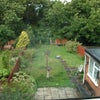 Photo 2: Back garden