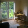 Photo 2: living room again- nice