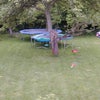 Photo 2: Part of back garden