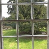 Photo 5: View from bedroom window