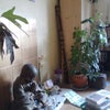 Photo 2: living room