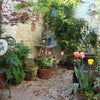Photo 3: Garden in Spring