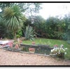 Photo 6: South facing garden, with BBQ & Pond